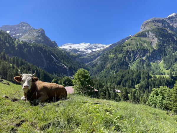 Buchinger Fasten und Wandern in Saanenmöser bei Gstaad